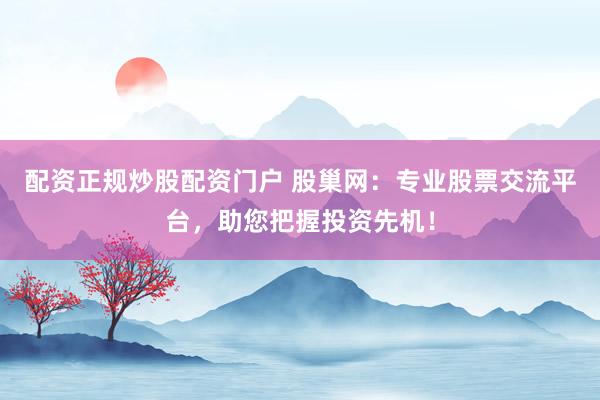 配资正规炒股配资门户 股巢网：专业股票交流平台，助您把握投资先机！