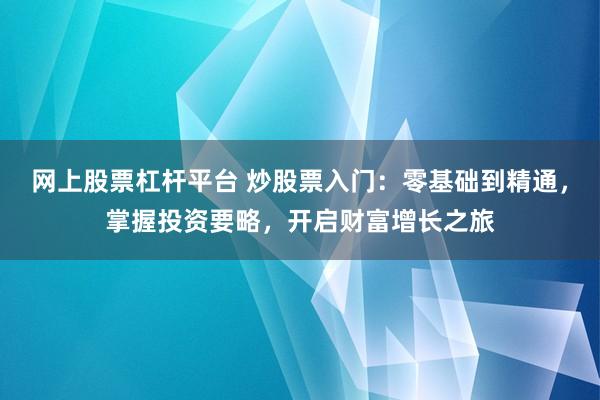 网上股票杠杆平台 炒股票入门：零基础到精通，掌握投资要略，开启财富增长之旅