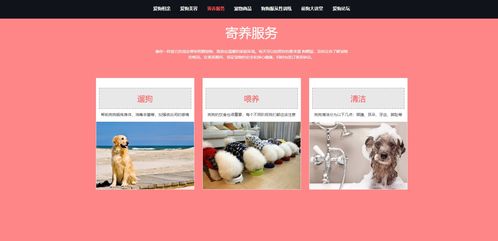 计算机毕业设计html5,div css的宠物狗个性化服务网站前端 静态网页设